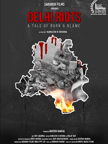 Delhi Riots: A Tale of Burn & Blame